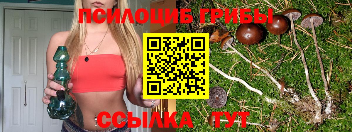 Псилоцибиновые грибы MAGIC MUSHROOMS Краснокаменск